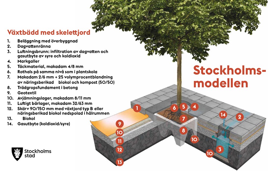 Illustration som pekar ut och beskriver 14 olika sektioner av växtbäddar skapade enligt Stockholmsmodellen.
