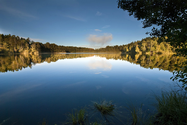 Vattenspegeln på sjön Judarn. Foto: Johan Pontén