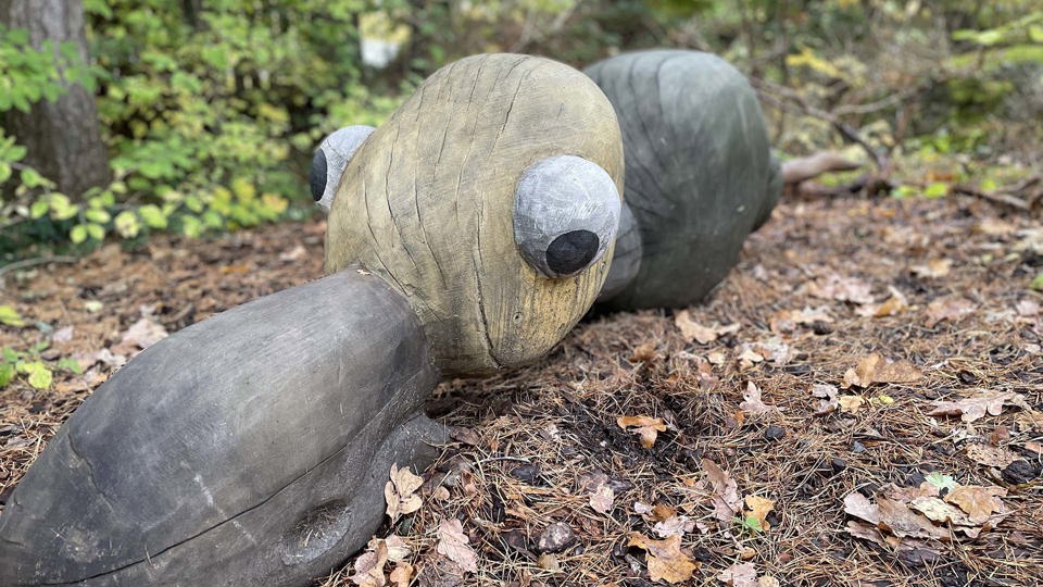 Fantasidjur i trä omgivet av nerfallna höstlöv, foto. 
