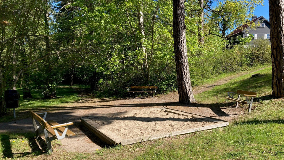 Solbelyst glänta med sandlåda intill lummiga träd, foto.