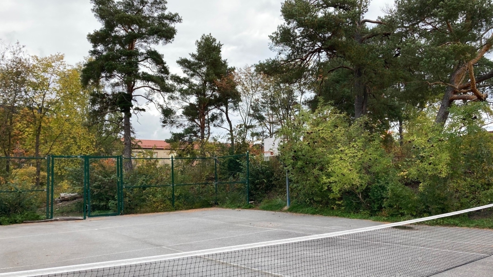 Tennisnät på bana i grönskande lekplats.