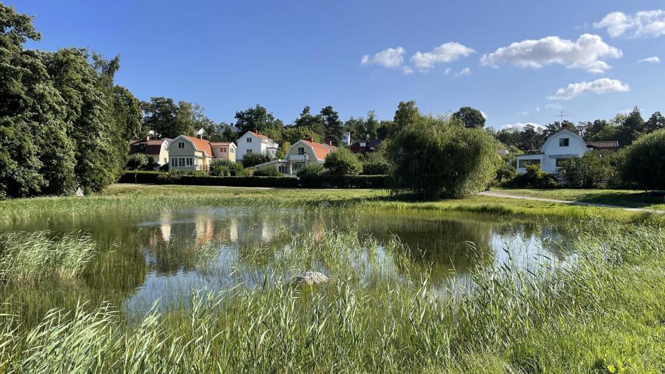 Sjö med natur- och villaområde i bakgrunden