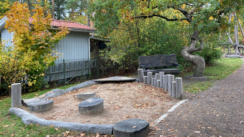 Sandlåda med träbänk omgivet av natur i höstskrud, foto.