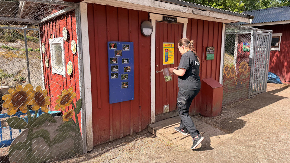Personal klädd i svart är på väg att gå in vid en röd byggnad i en lekpark.