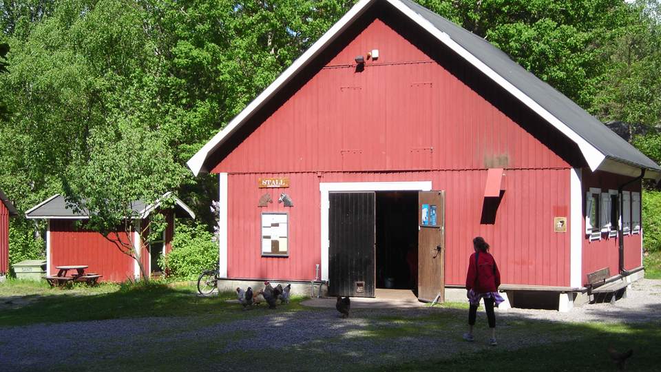 En grusad gång med höns framför ett hus med öppen dörr
