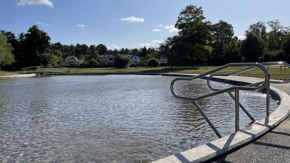 Plaskdamm med natur- och villaområde i bakgrunden