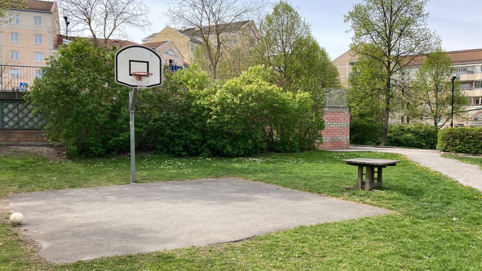 En basketkorg med gräs, buskar, träd och flerfamiljshus i bakgrunden.