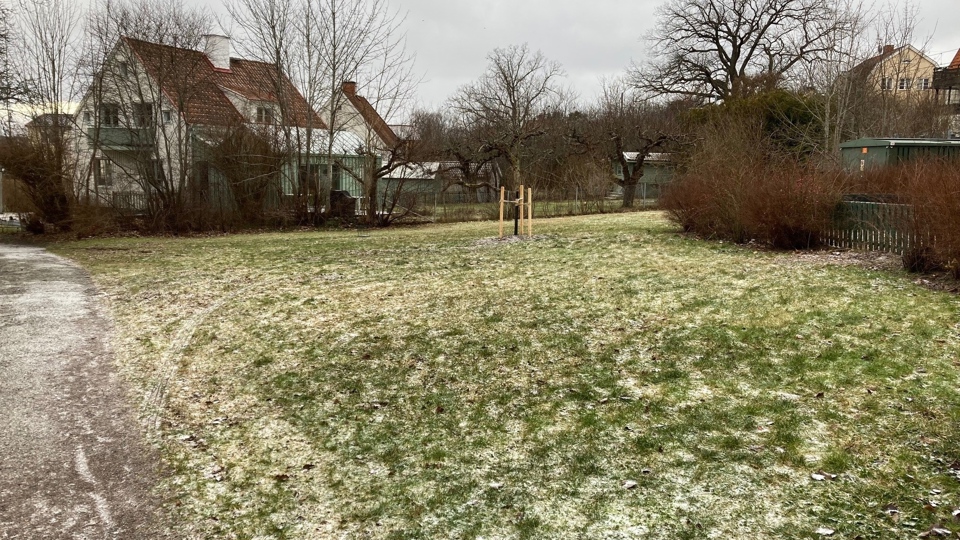 Öppen grönyta med villor och lekplats i bakgrunden.