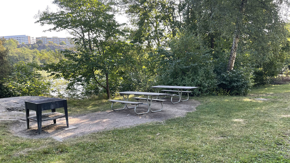 Grillplats i grönskande omgivning, foto.