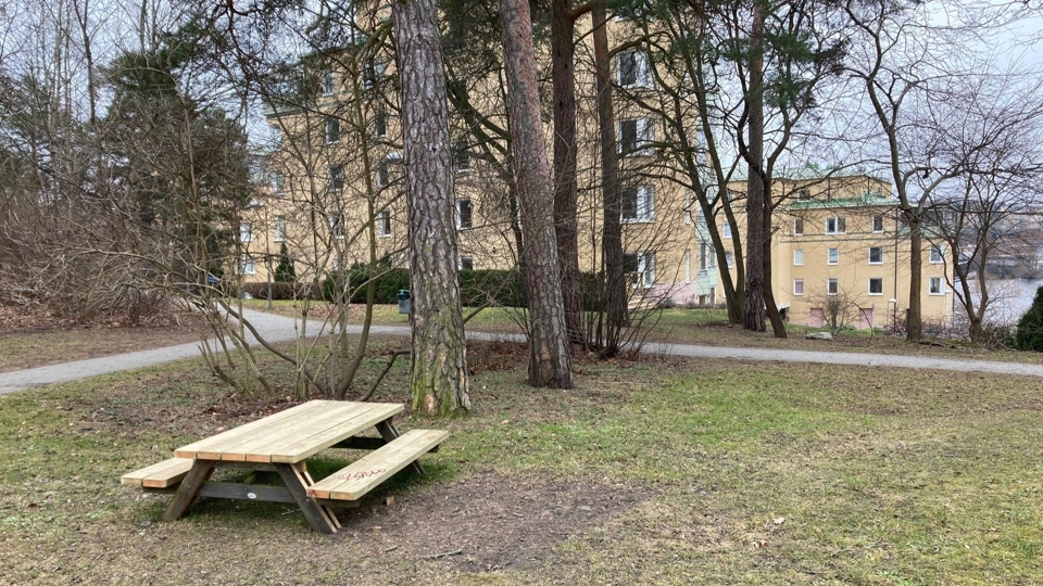 Träbänkar och bord i parkmiljö.