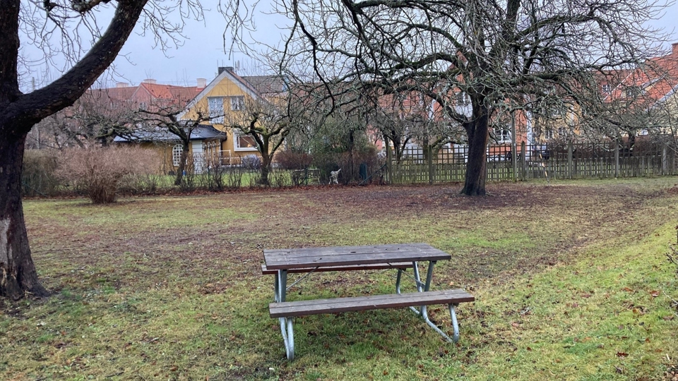 Sittbänk på gräsmatta i lekplats framför flera enplanshus.