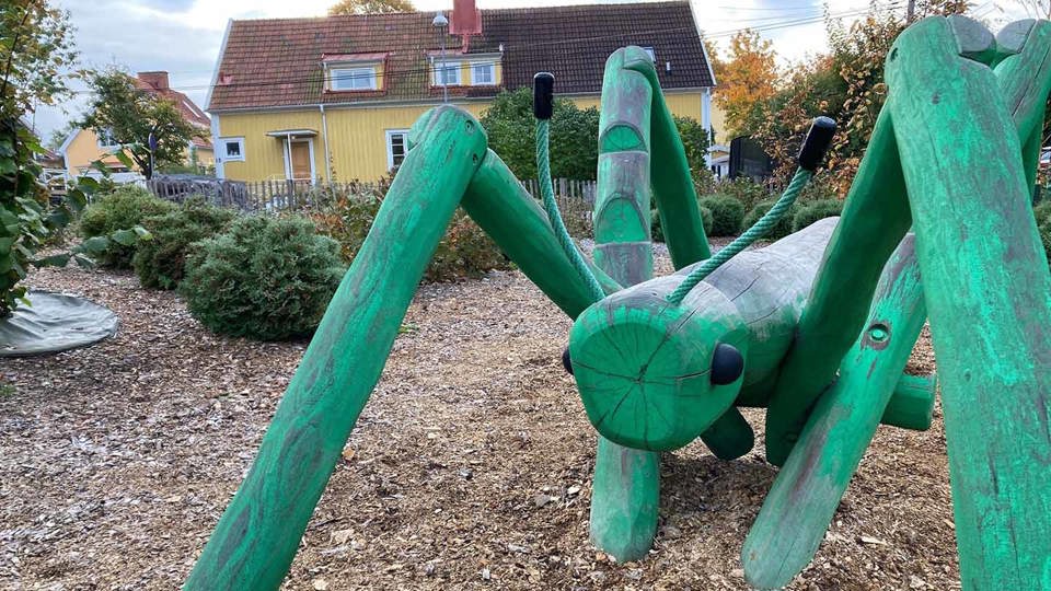 Grön insekt i trä, foto.