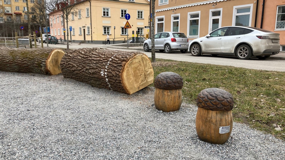 Lekplats med svampar och trästockar, foto.