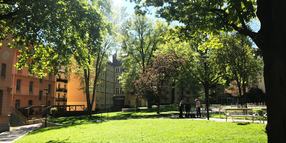 Stora grönytor och träd