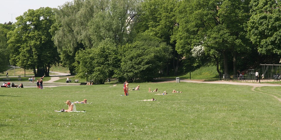 Människor ligger och solar på gräsmattorna i parken.