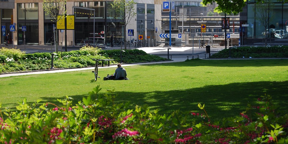 Människa med som sitter bredvid sin cykel i gräset