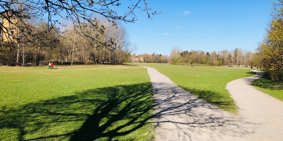 Stora gröna gräsmattor omgivna av träd med en tvådelad grusväg. Människor promenerar på gräsmattorna. Fotografi