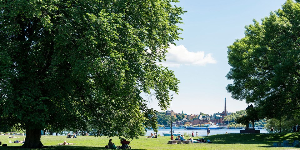 Människor som har picknick i Rålambshovsparken på sommaren.