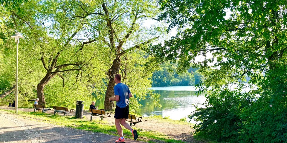 En person joggar längs strandpromenaden i Trekantsparken. Bänkar, stora träd och sjön skapar en grön och rofylld miljö.
