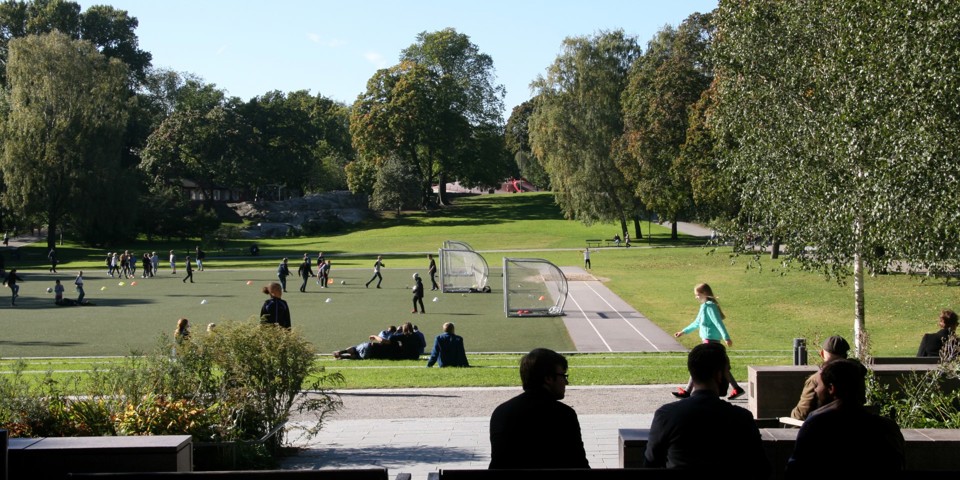 Fotbollsplanerna i Vasaparken