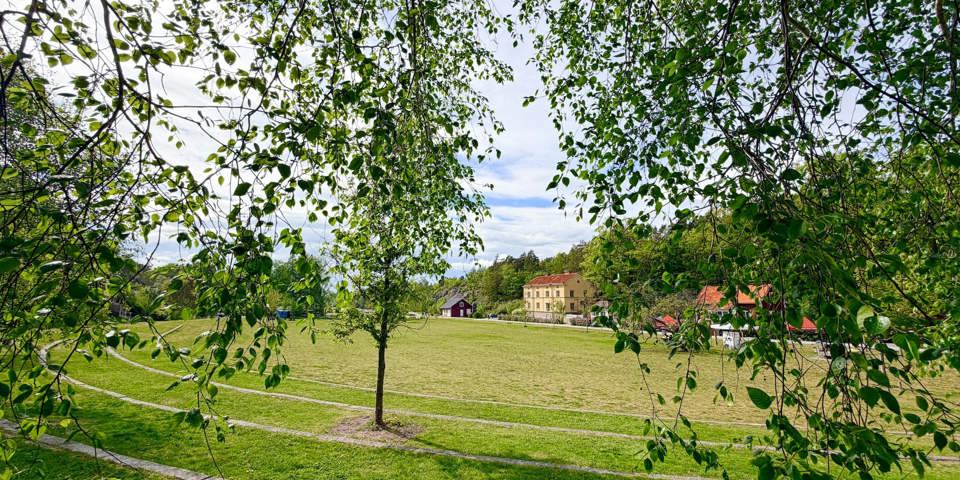 Stor gräsyta i Vinterviksparken med några personer som promenerar och umgås. Träd och en röd tegelbyggnad omger parken under en klarblå himmel.