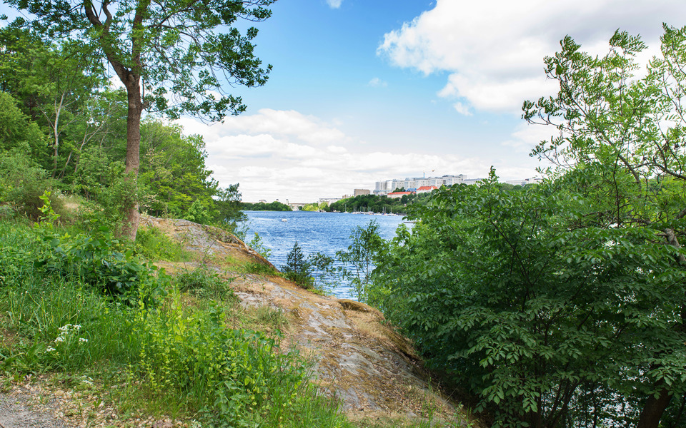 Utsikt västerut mot vattenspegeln i Årstaviken med omgivande grönska. Foto: Johan Pontén