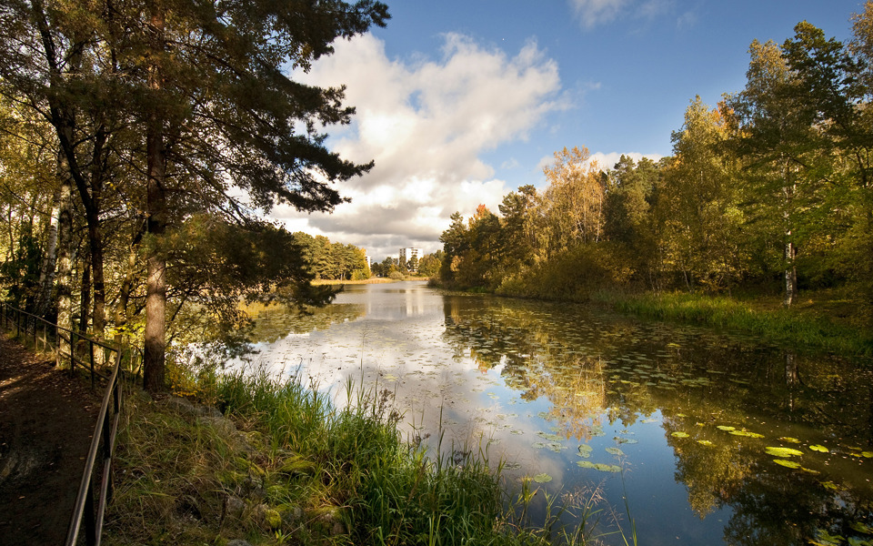 Råcksta träsk. Foto: Johan Pontén
