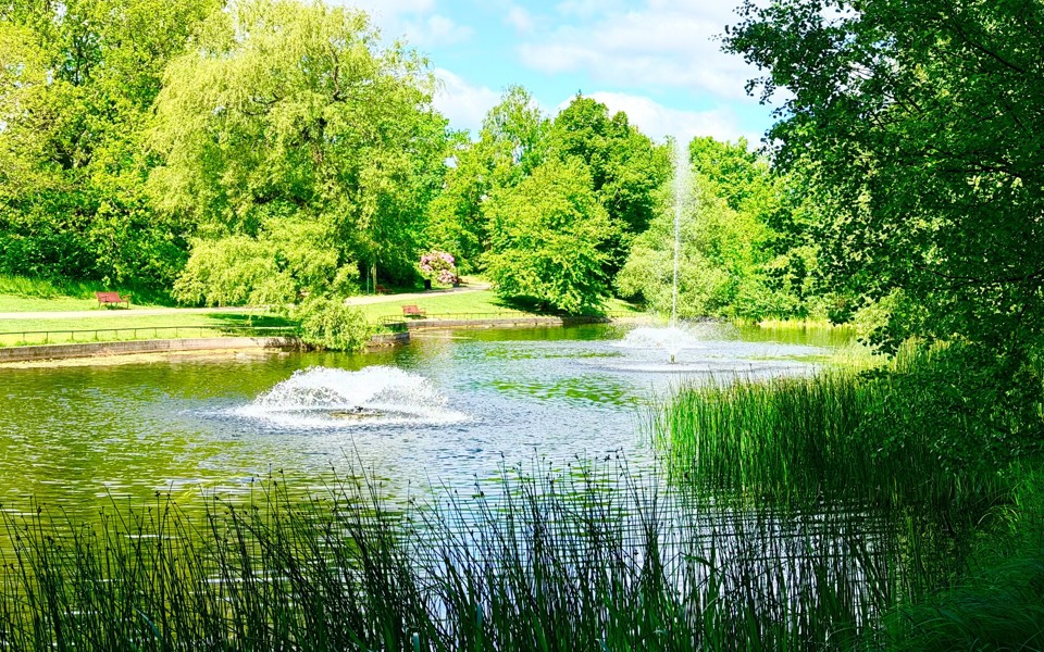 Damm i grönskande park med fontäner, vass i förgrunden och träd som omger vattnet.