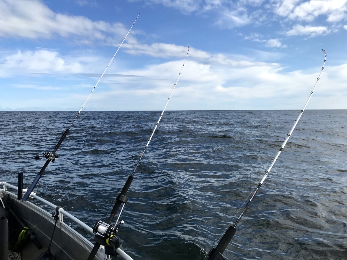 Beställ TDA-fiskekort - Stockholms stad