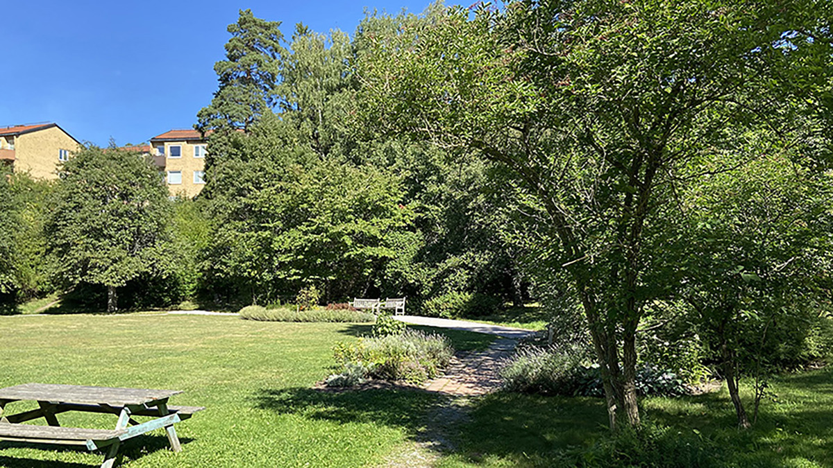 Sinnenas trädgård - Stockholms stad