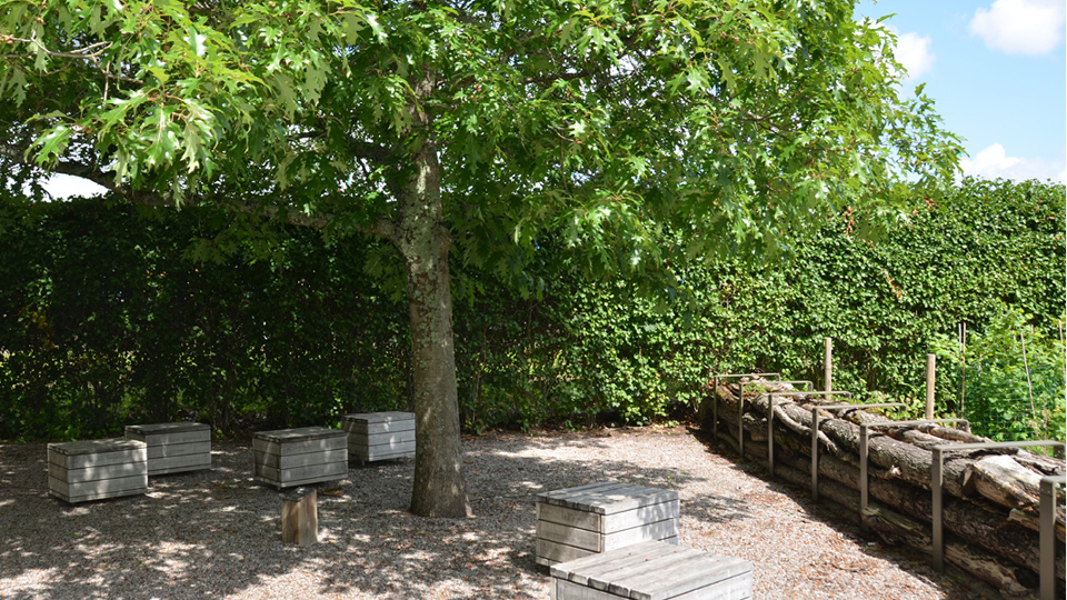 Sittplatser i form av trälådor står utplacerade under ett grönskande lövträd. En mur gjord av trästockar skiljer av platsen.