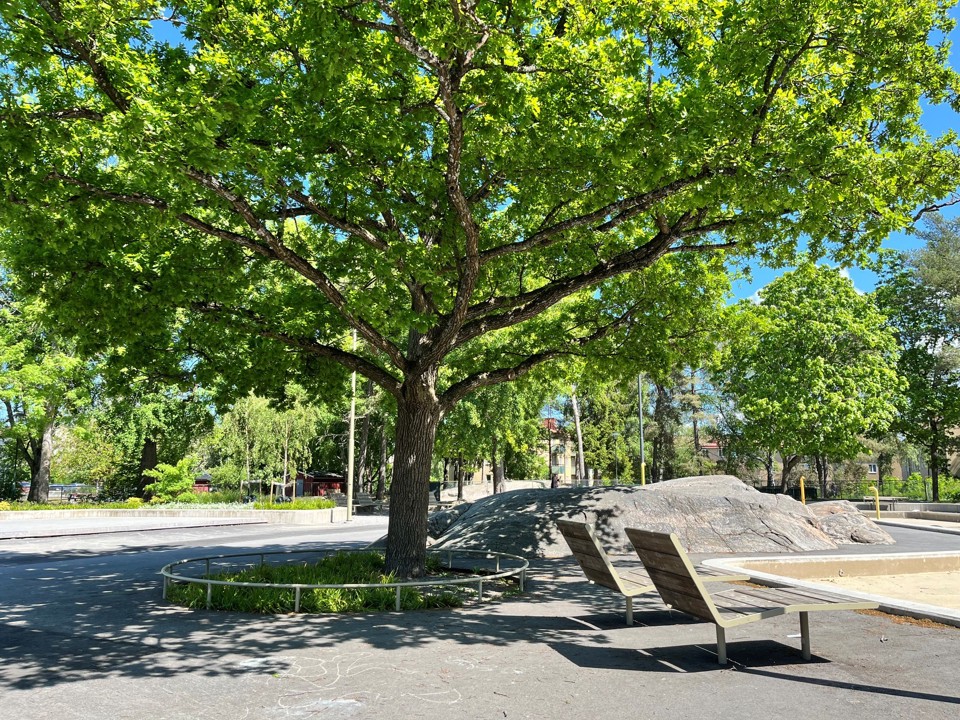Sittplatser bredvid en plaskdamm och ett träd som skuggar.