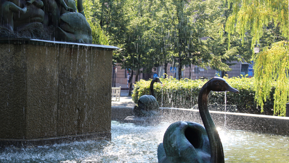 Svanarna i fontänen Fontänrummet