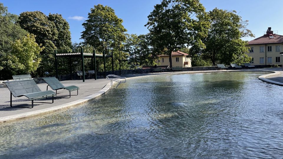 Plaskdamm med träd och hus i bakgrunden.