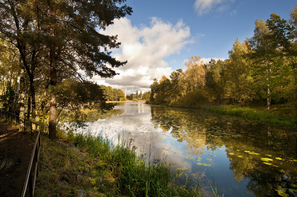 Råcksta träsk. Foto: Johan Pontén
