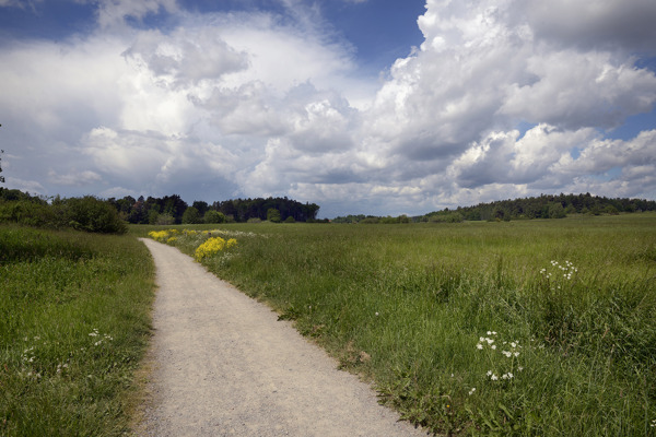 Foto: Johan Pontén